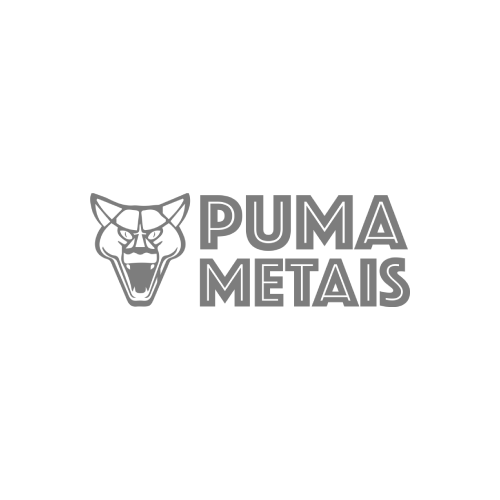 PUMA METAIS